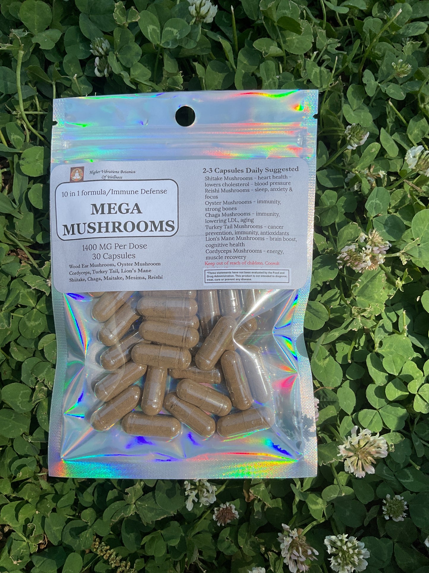 Mega Mushroom Complex