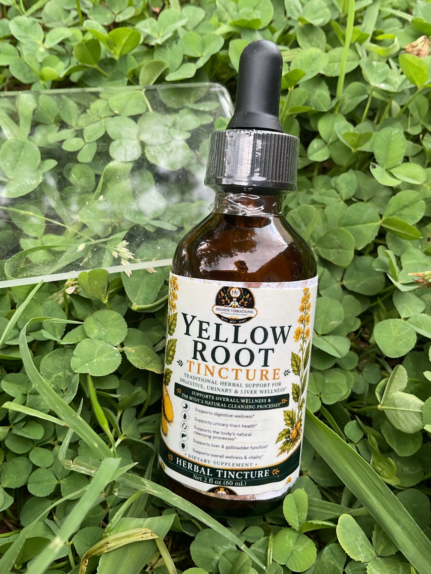 Wildcrafted Yellow Root Tincture 2Oz
