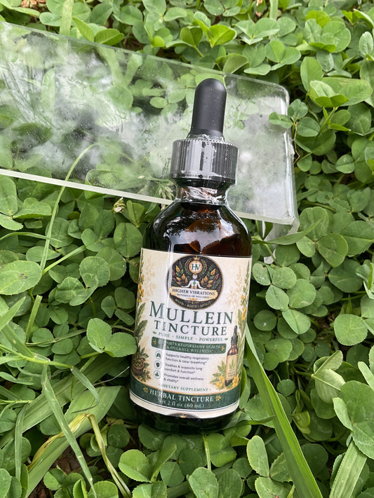 Mullein Tincture 2 Oz
