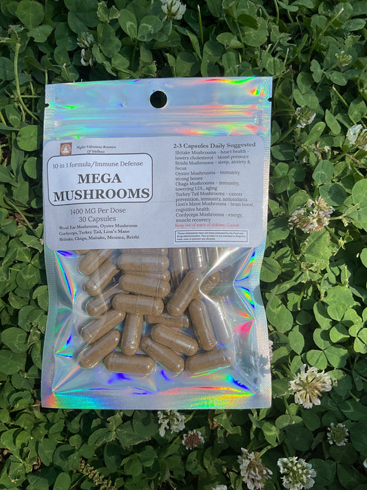 Mega Mushroom Complex