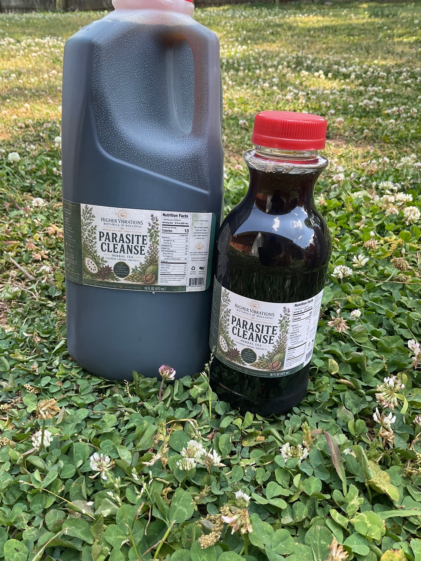Parasite Tonic Tea Bundle