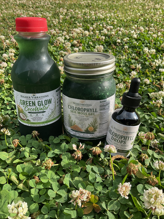 🌿 Chlorophyll Glow Bundle