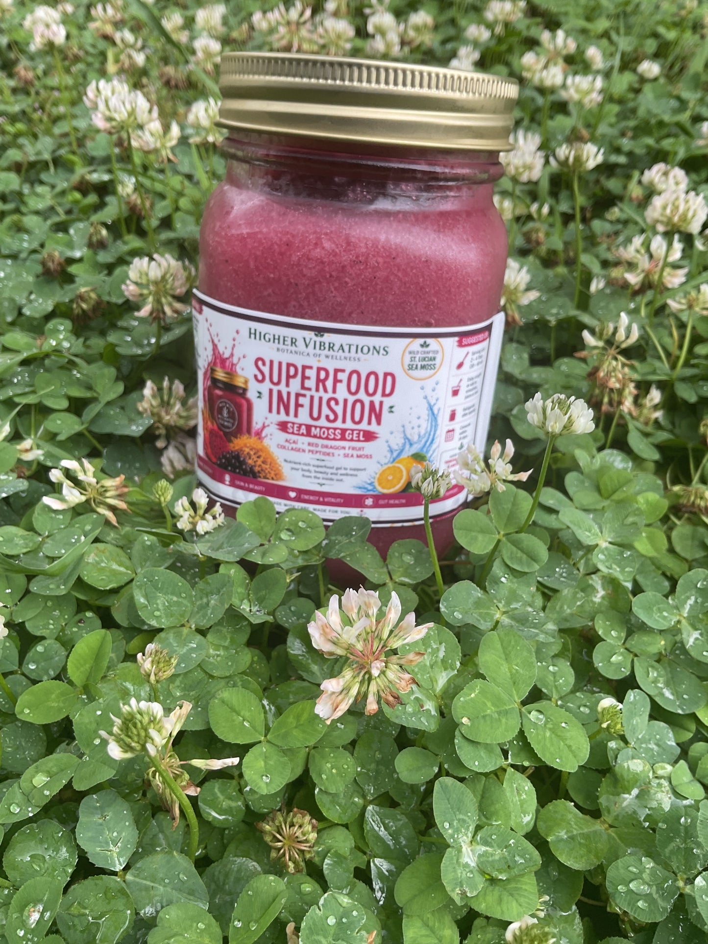 Superfood Infusion Sea Moss Gel 16 oz