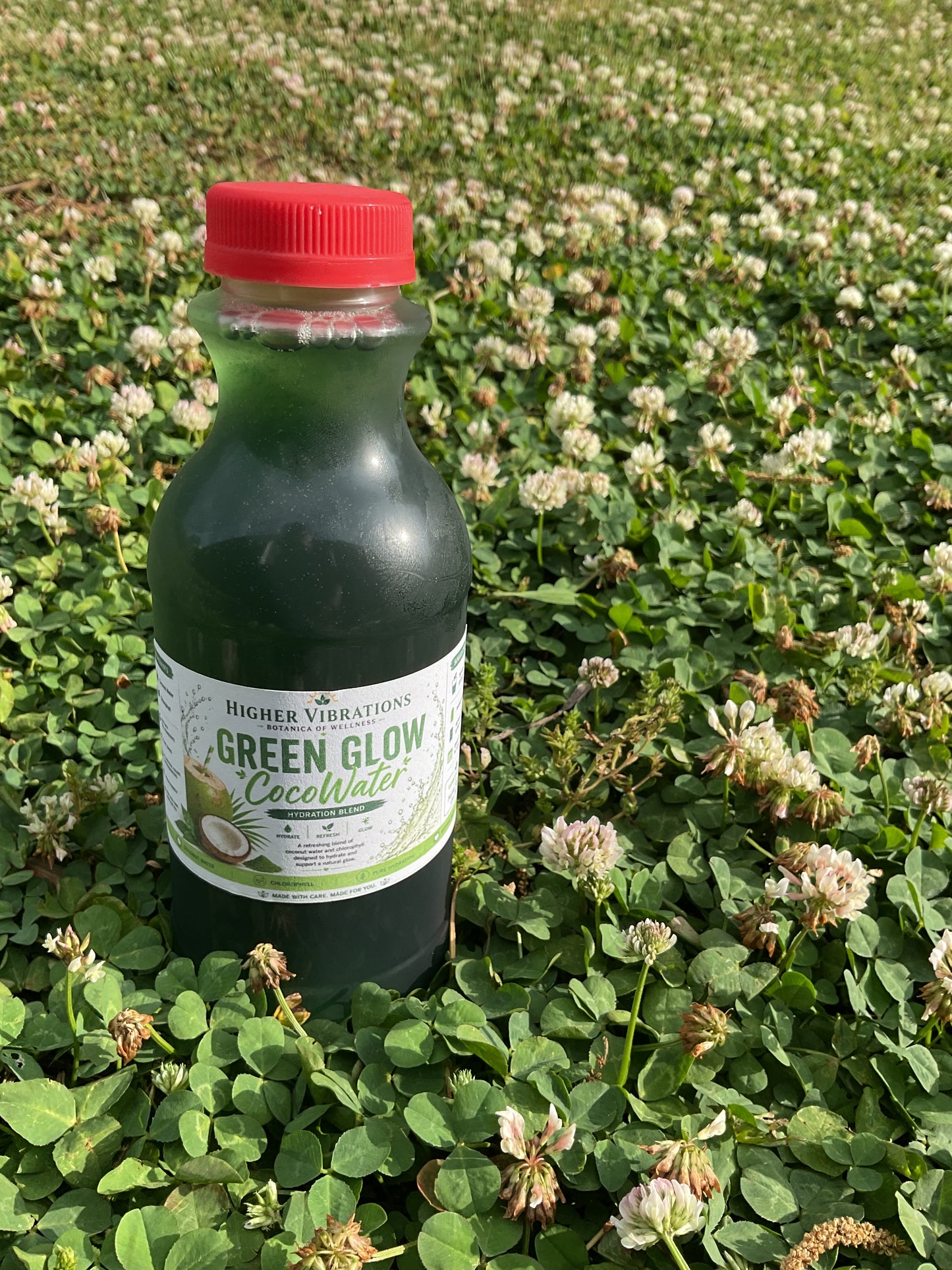 🌿 Chlorophyll Glow Bundle