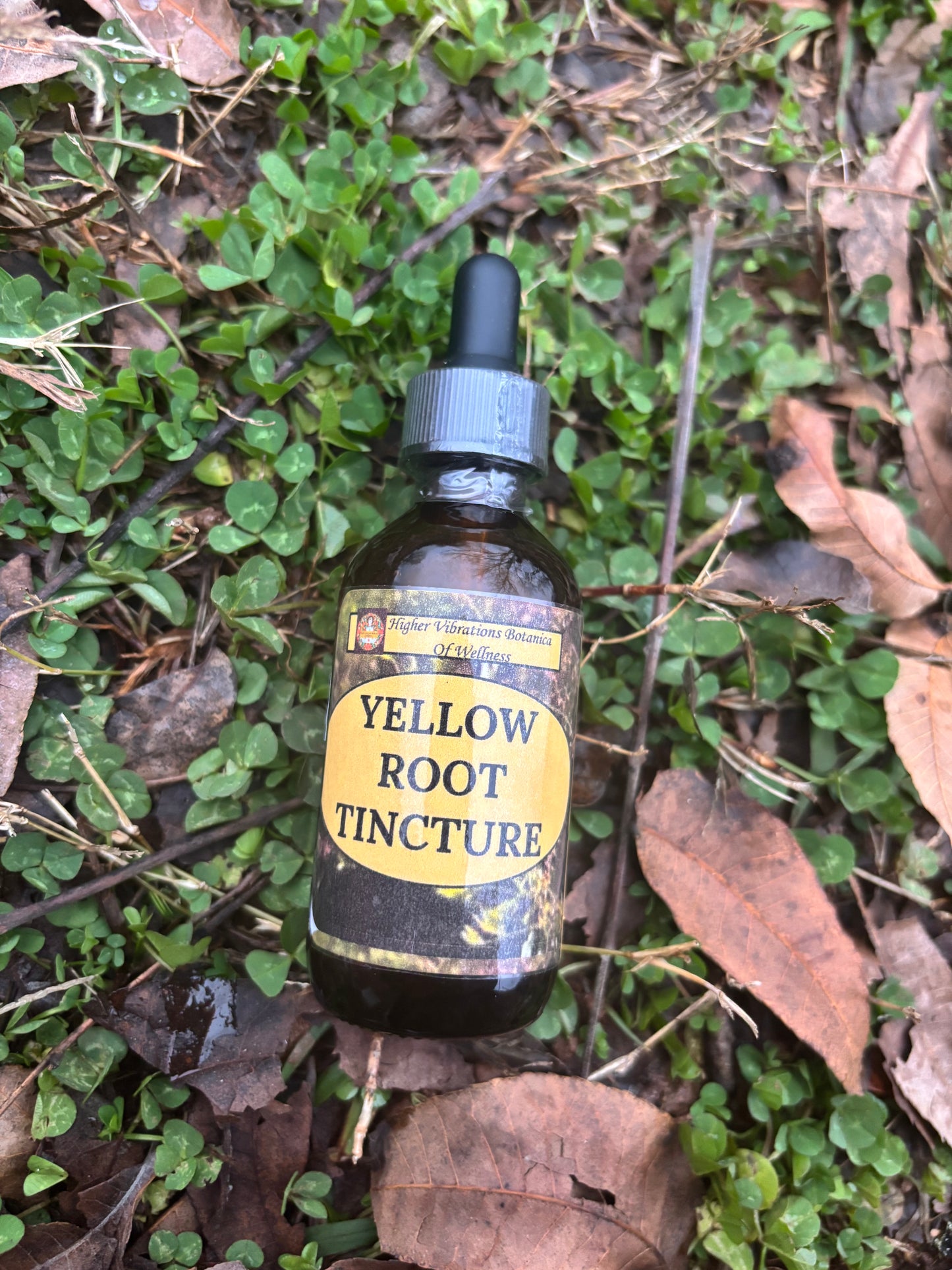 Wildcrafted Yellow Root Tincture 2Oz