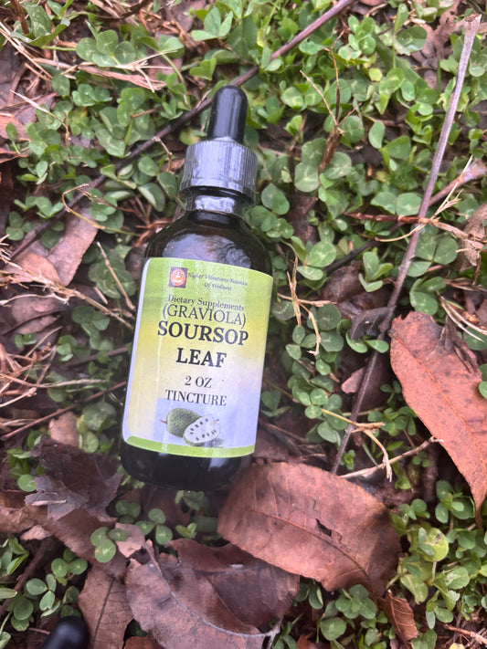 Soursop Leaf Tincture 2OZ