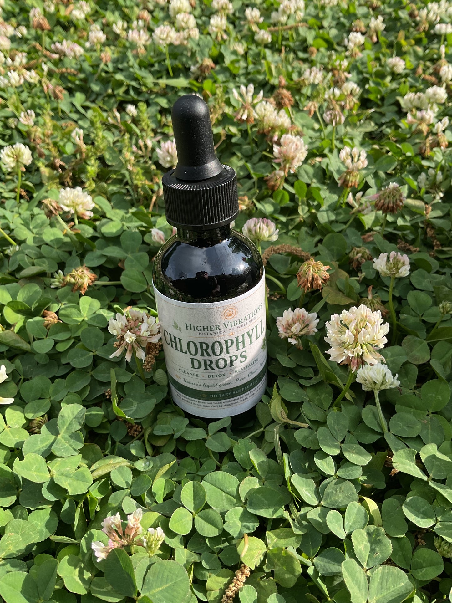 🌿 Chlorophyll Glow Bundle