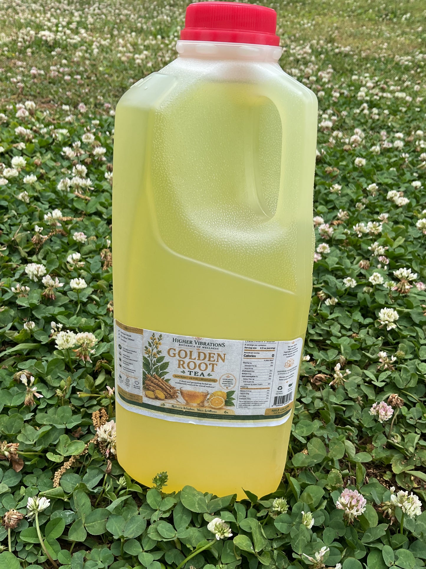 Golden Root (Yellow Root) Tea