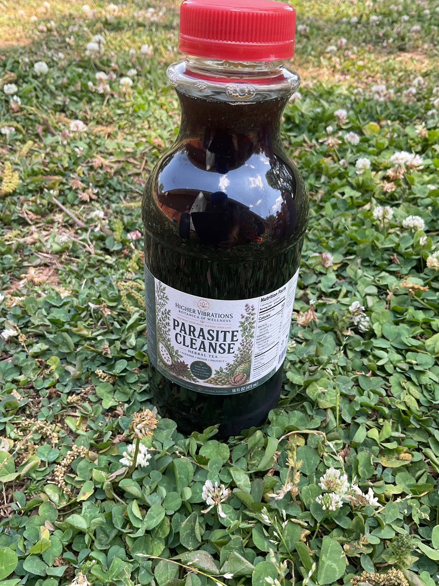 Parasite Tonic Tea Bundle