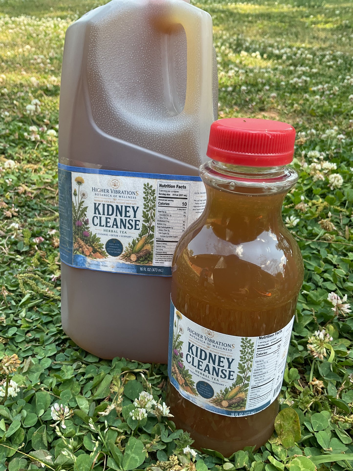 Kidney Support Tea