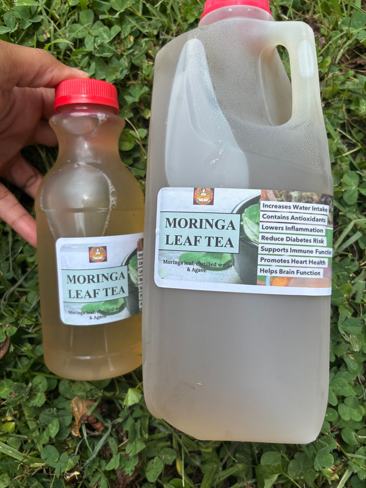 Morning a Leaf Tea Bundle