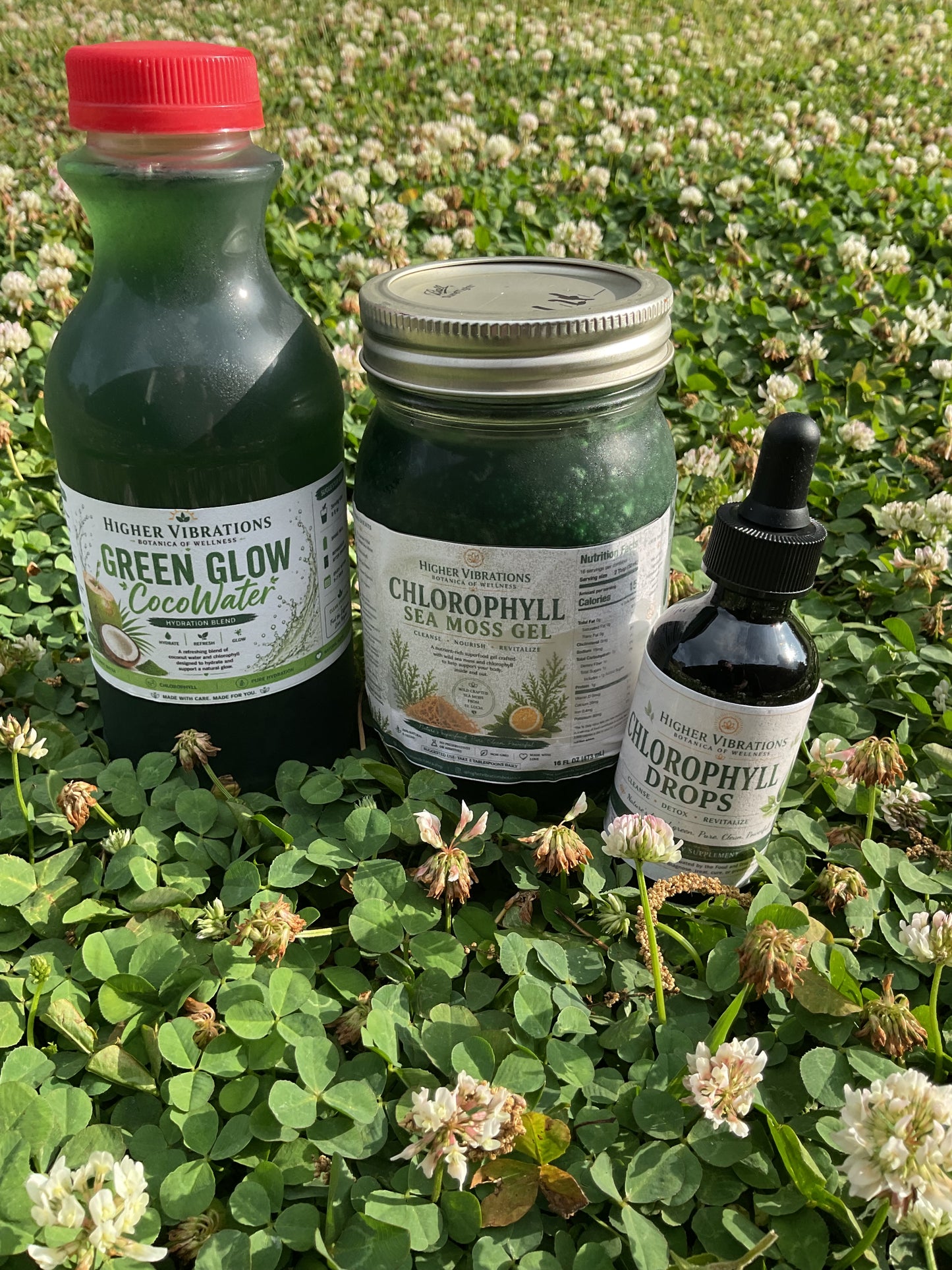 🌿 Chlorophyll Glow Bundle